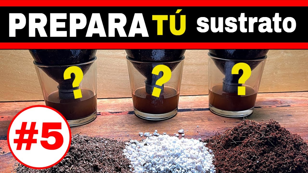✔️Cómo hacer Sustrato para la Huerta!!!