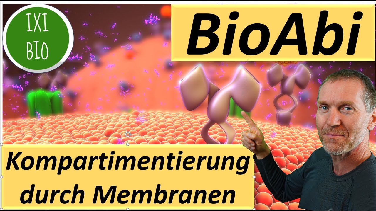 15 Punkte im Abi? Heute: Kompartimentierung durch Membranen - Vorbereitung auf das Biologie-Abitur