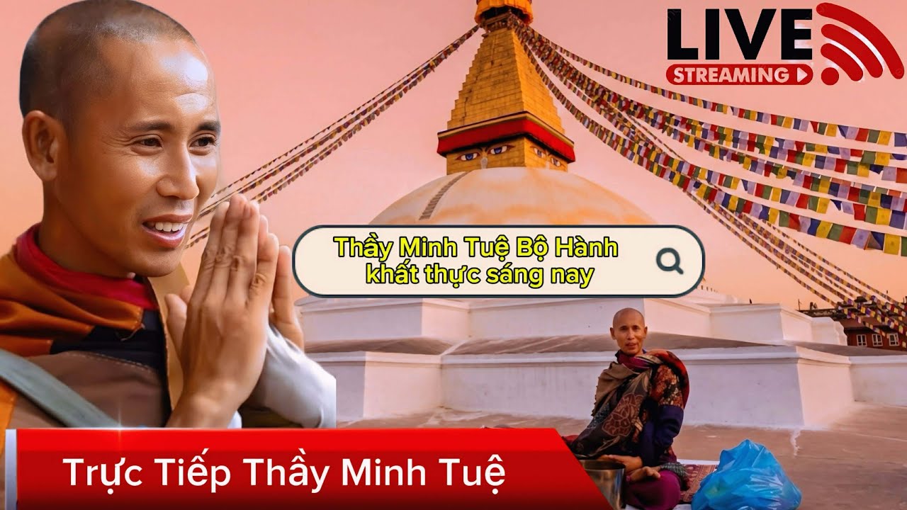 Trực tiếp Thầy Minh Tuệ Bộ Hành Khất Thực Sáng nay 7/3