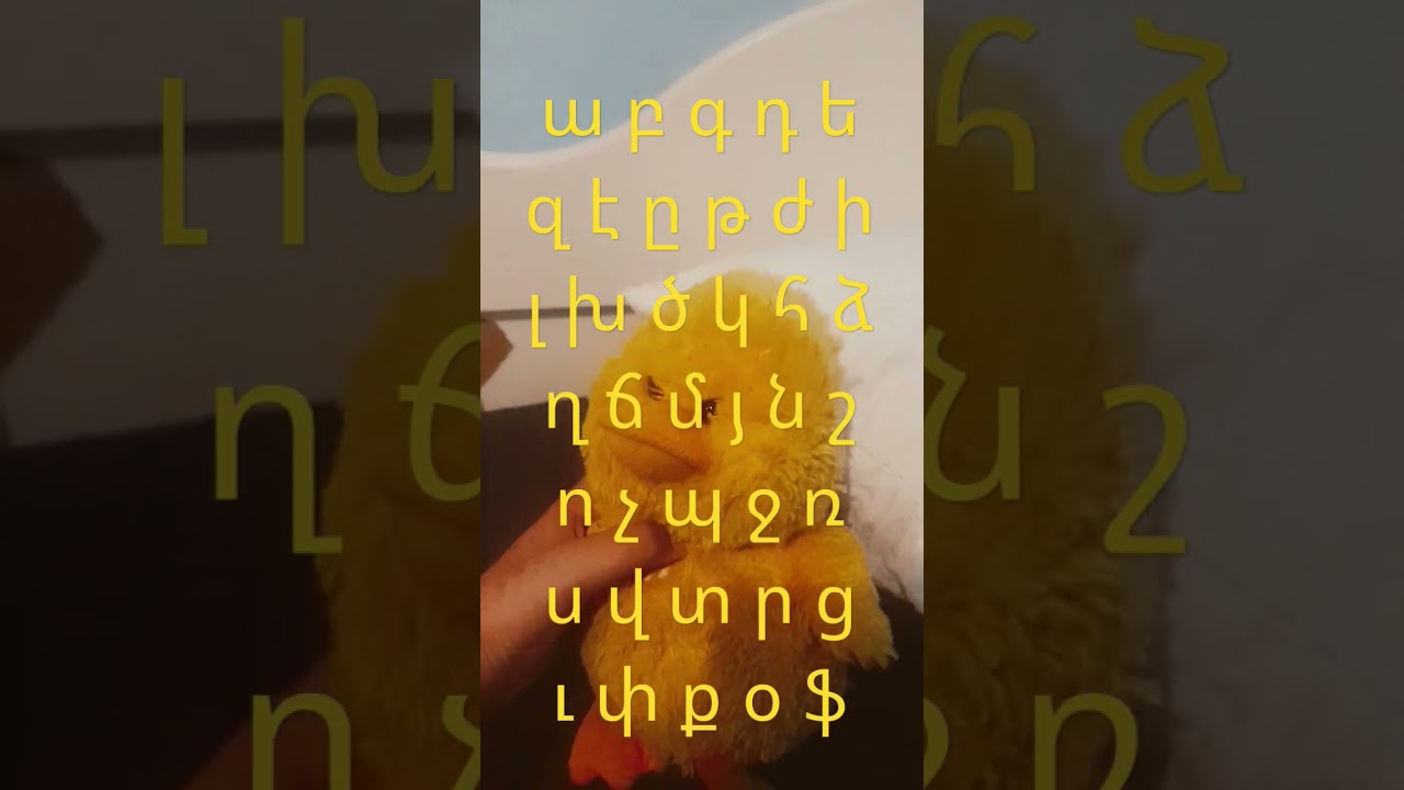 ա բ գ դ ե զ է ը թ ժ ի լ խ ծ կ հ ձ ղ ճ մ յ ն շ ո չ պ ջ ռ ս վ տ ր ց ւ փ ք օ ֆ