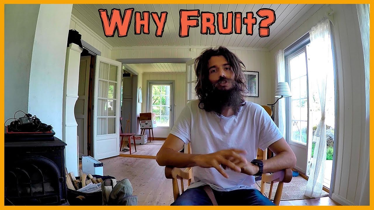 WHAT'S THE BIG DEAL WITH FRUIT? WHY NOT OATMEAL?