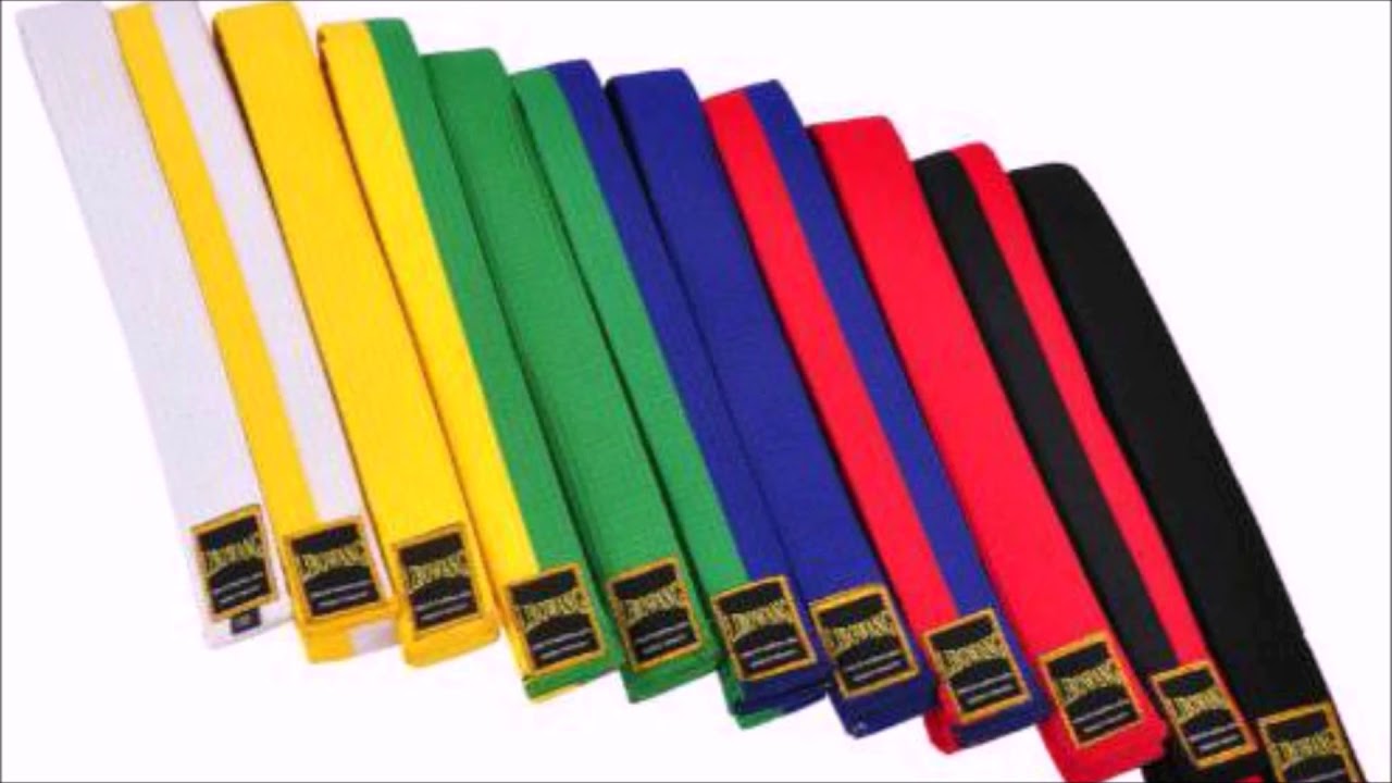Taekwondo  Dolio chagui