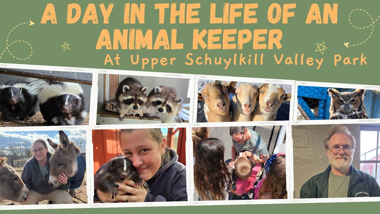 A Day in the Life of an Animal Keeper