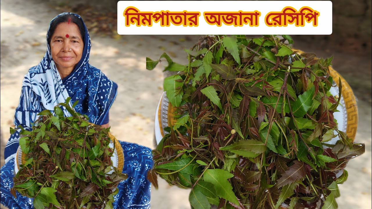  এইভাবে নিমপাতা রান্না করলে সবাই চেয়ে চেয়ে খাবে  | HELTHY NEEM LEAVES RECIPE |