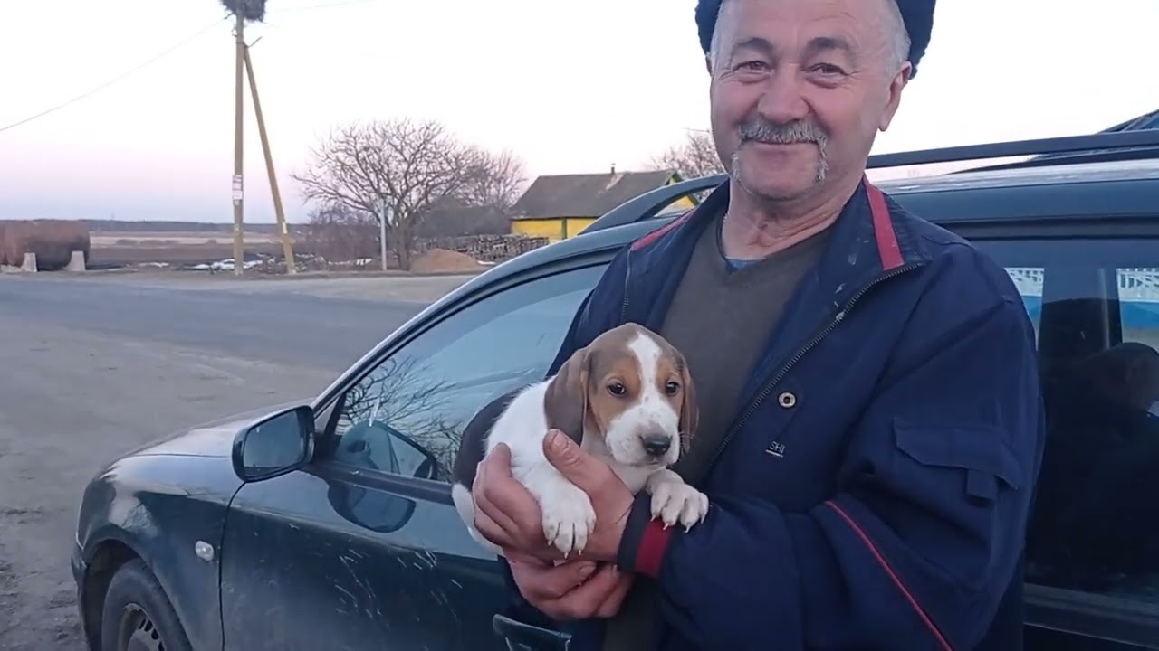 У САН САНЫЧА ПОПОЛНЕНИЕ 🦮👍