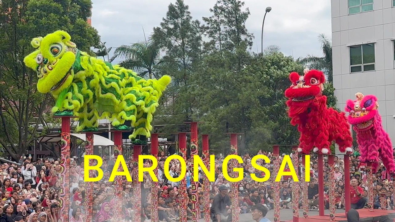 Barongsai  TSM-Bandung
