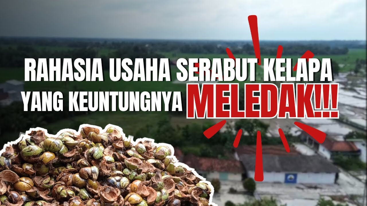 Rahasia Usaha Serabut Kelapa Yang Keuntungannya MELEDAK!!!