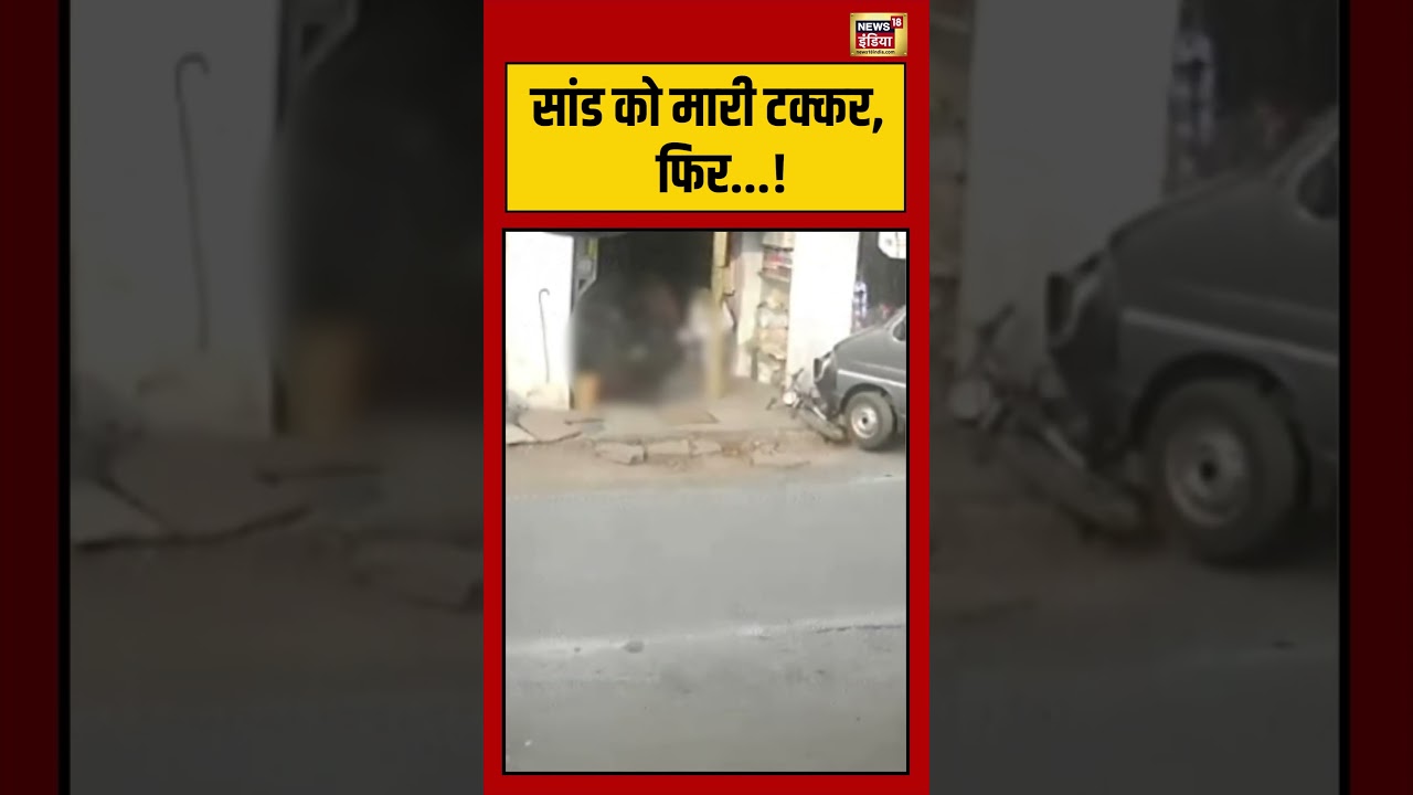 सांड को मारी टक्कर, फिर...! #mpnews | #viralvideo | #hindinews
