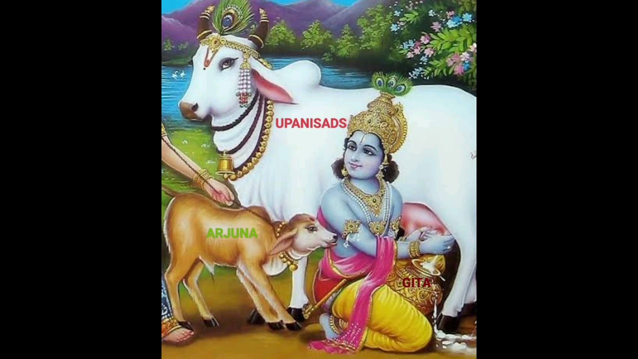 GITA DHYANA SLOKA -4: Upanisads is cow - Arjuna is calf - GITA is the timeless milk for immortality 