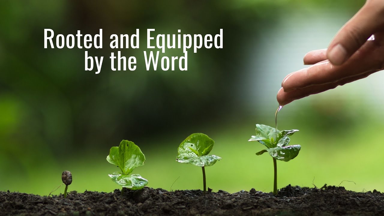 Verse of the Day   January 24