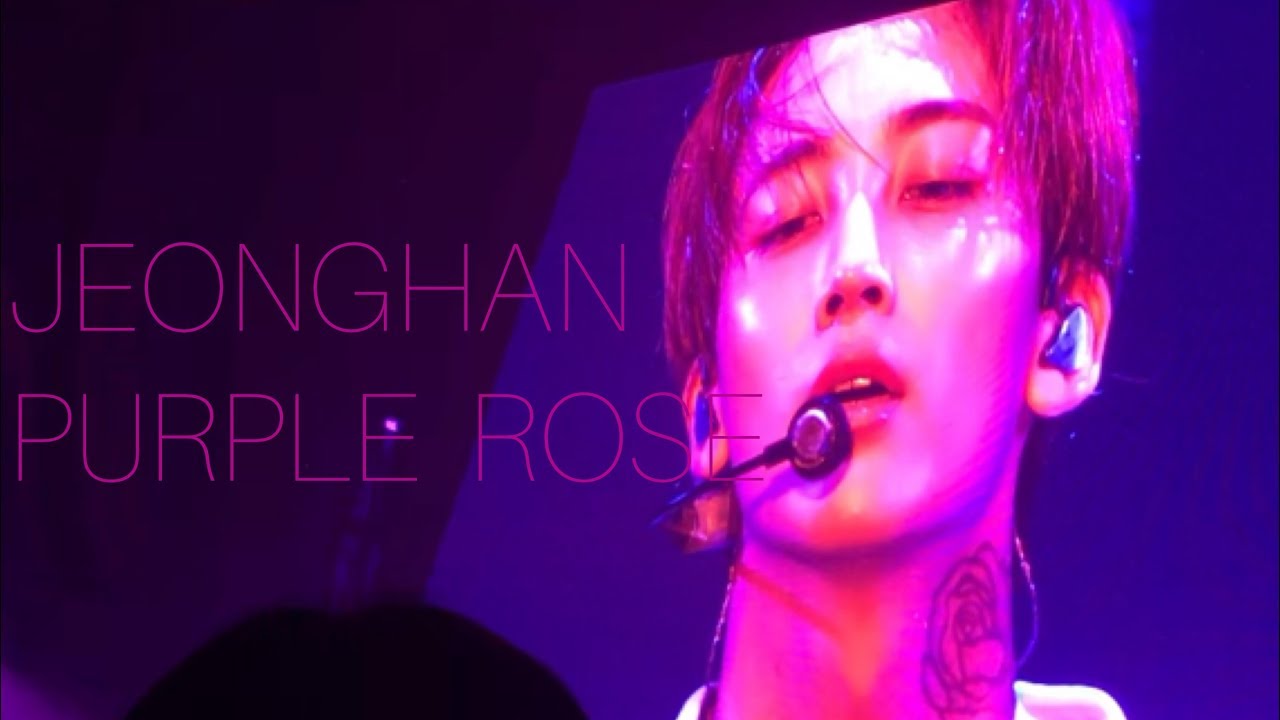 20180630 seventeen concert idealcut in seoul 세븐틴 정한 솔로 purple rose jeonghan