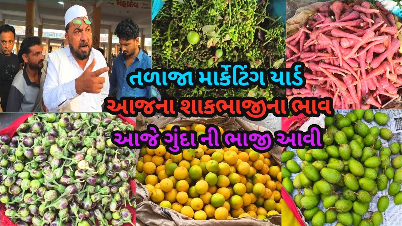 આજે ગુંદા ની ભાજી આવી તળાજા માર્કેટિંગ યાર્ડ આજના શાકભાજી ના ભાવ 