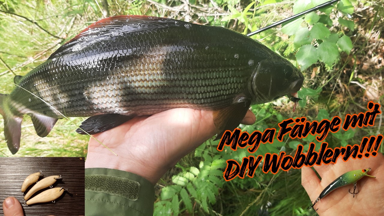 DIY Wobbler und Jerkbaits, mit wenig Material zum Fangerfolg!!