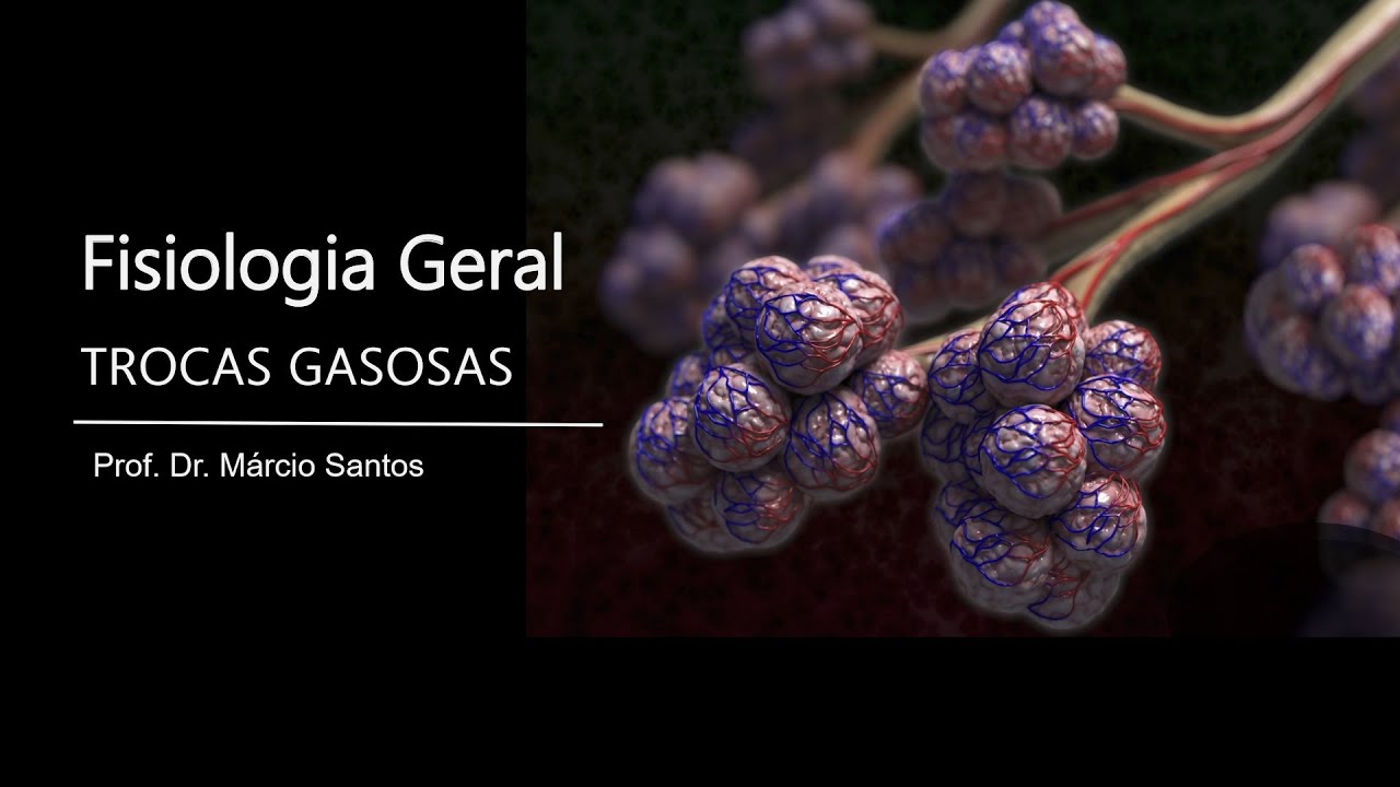 MODÚLO 3 - Aula 12 - Sistema Respiratório - Trocas Gasosas - Prof. Dr. Márcio Santos