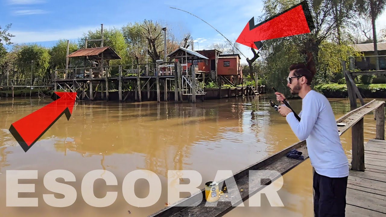PIQUE TRAS PIQUE, PESCA en ESCOBAR, NO PARABAN DE PICAR, Isla La Naranja, SIN ENGANCHE, HERMOSO.