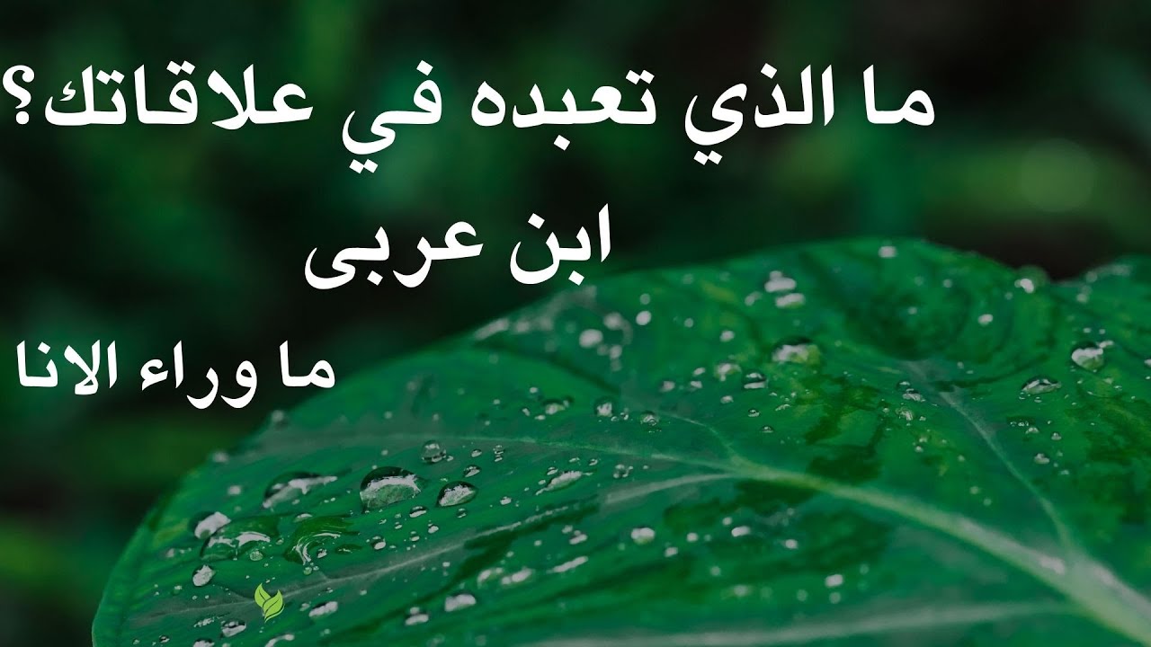 العلاقات… اختبار خفي للتوحيد  كيف تكشف علاقاتك معنى لا إله إلا الله بداخلك ؟