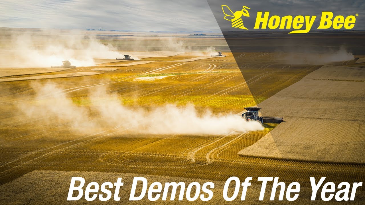 Honey Bee | Our Best Demos of the Year