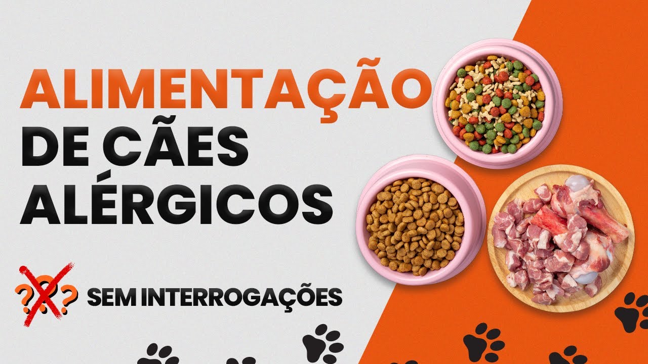 Alimentação de Cães Alérgicos | Sem Interrogações