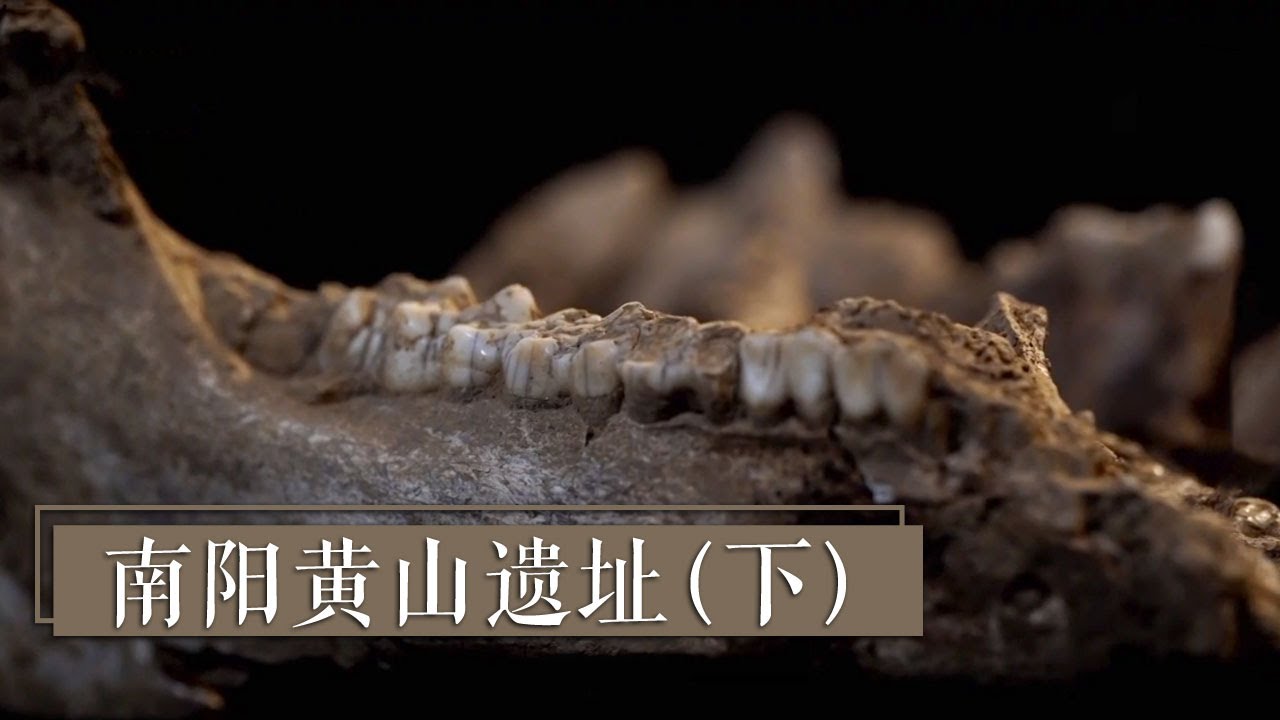 《南阳黄山遗址》探秘穿越千年的神秘葬俗 | 中华国宝