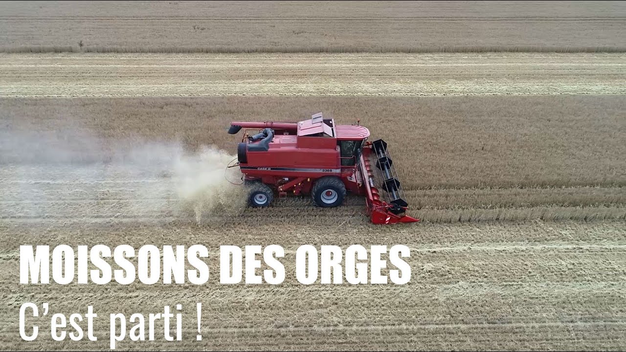 Ça commence fort ! Moisson des orges