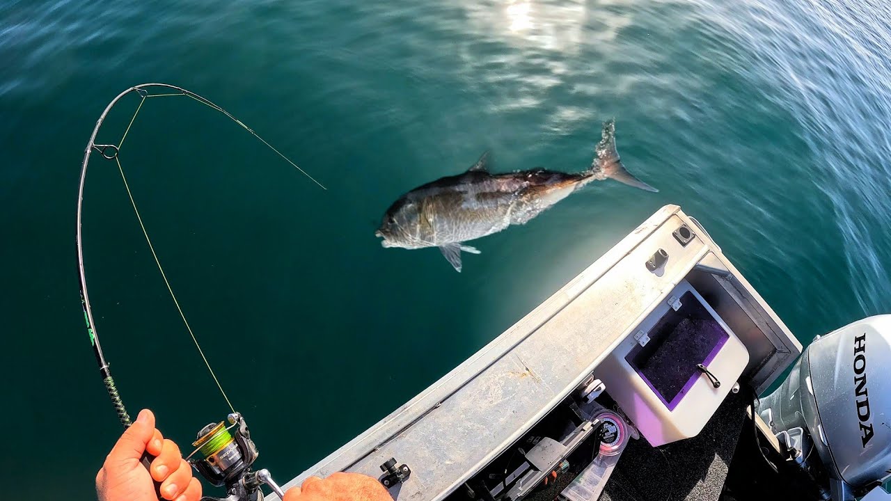 Light Tackle Fishing  - catching BIG FISH