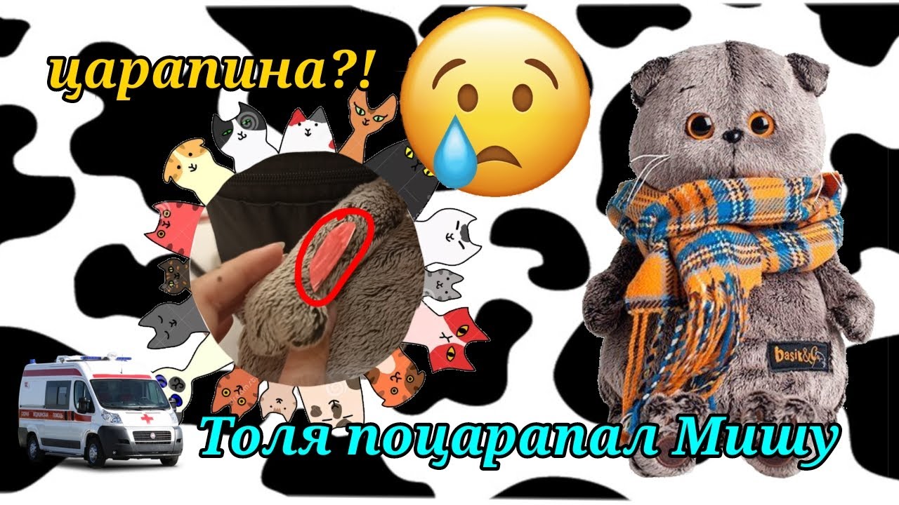 ТОЛЯ ПОЦАРАПАЛ МИШУ? ДО КРОВИ? 😮🩸Мы с басиком поехали в больницу?