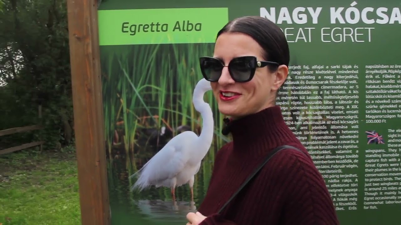 Mi a pálya? - Szentesi utazik - Tiszafüred