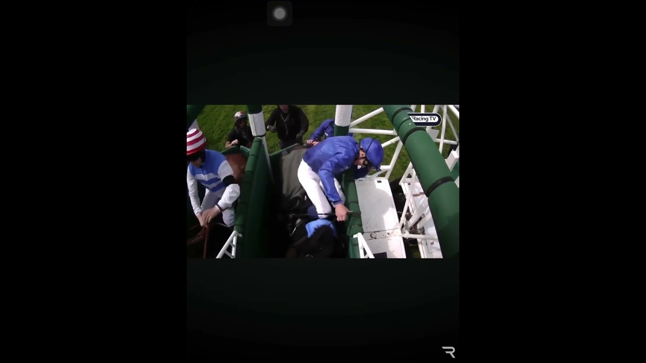 Horse wins race without rider ❤️✨🐴😱 #shorts