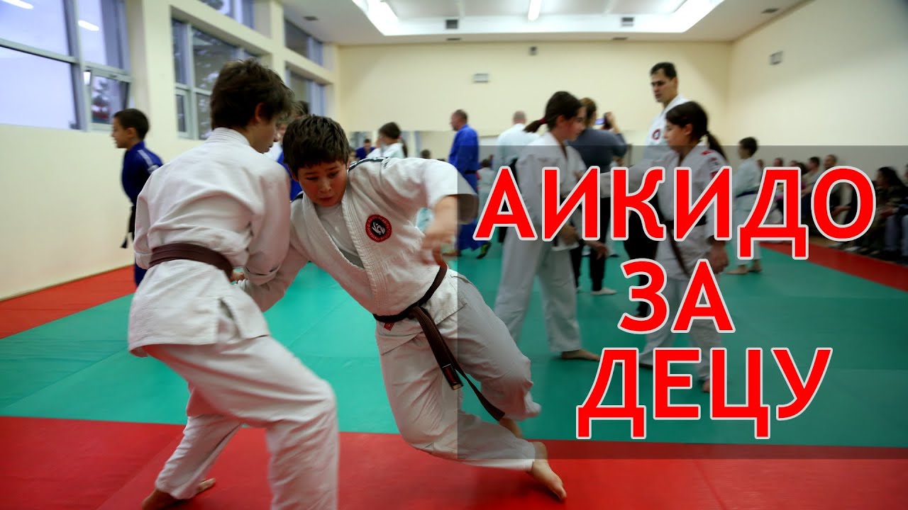 Aikido za decu: VI Savezni seminar Srpskog aikido saveza (22.11.2015.)