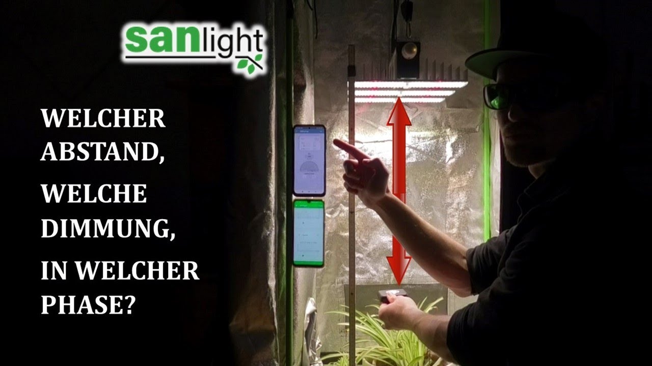 SANlight Evo Serie Abstand zur Pflanze | Dimmstufen | Ausleuchtung