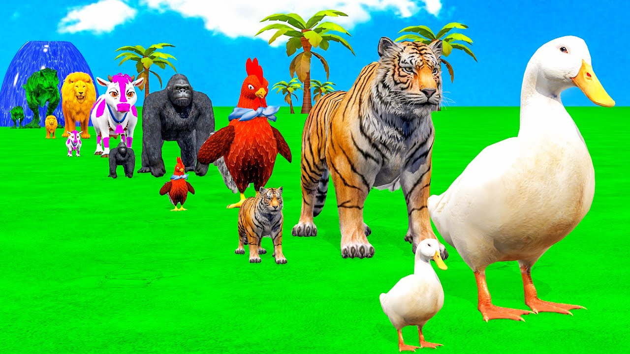 Long Slide Game With Elephant Gorilla Buffalo Hippopotamus Tiger 3d Animal Game Funny 3d Animals