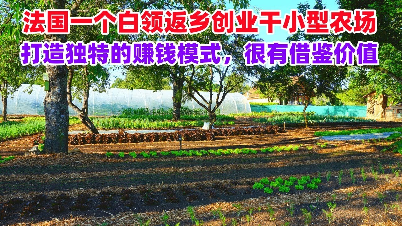 法国一个白领返乡创业干小型农场，打造独特的赚钱模式，很有借鉴价值！#farm #农场