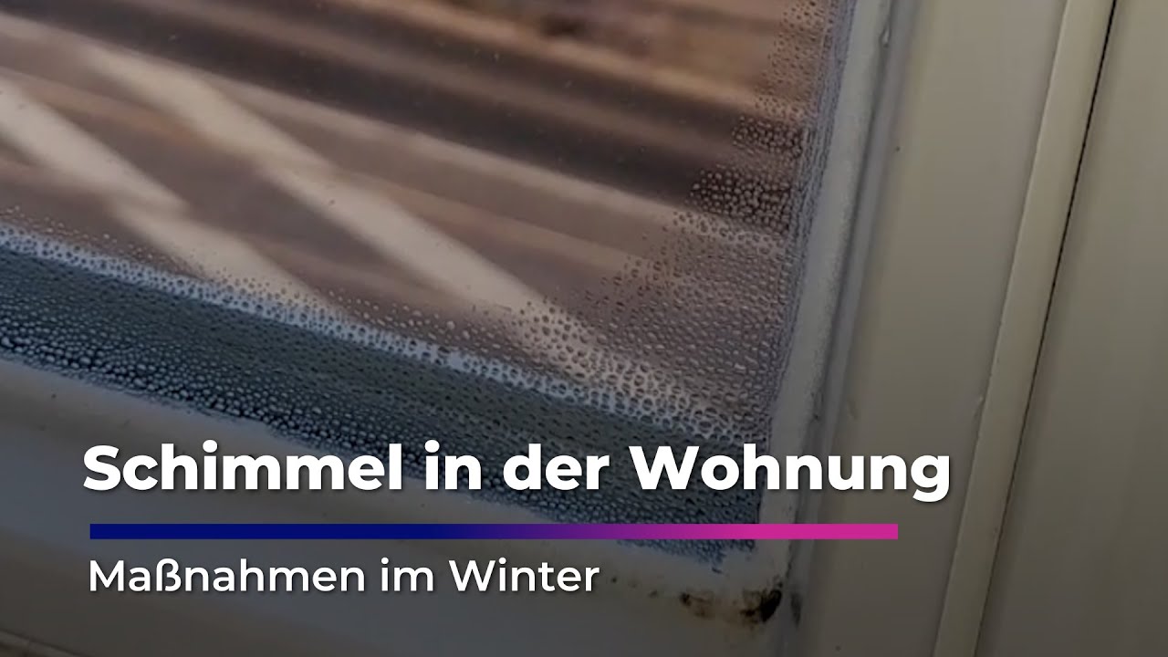 Schimmel in der Wohnung I Sachsen Fernsehen