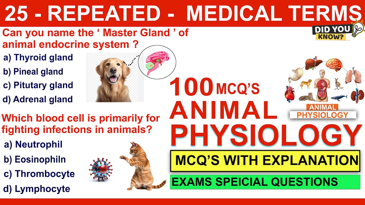 100 mcqs on animal physiology | cuet pg | animal physiology mcqs | neet 2024 #animalphysiology