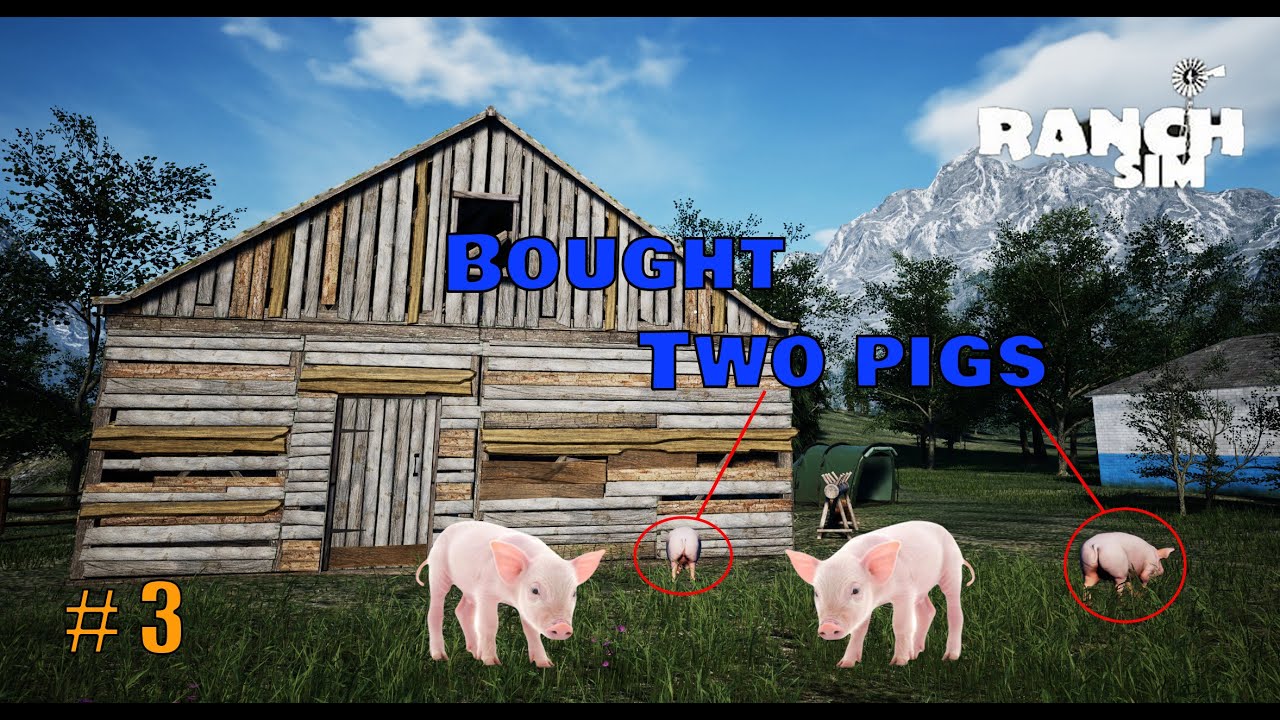 I Bought Two PIGS (MALE + FEMALE) || Ranch Simulator # 3