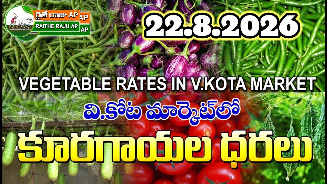 #AMC V.KOTA TODAY BEANS PRICE IN MARKET #ALL VEGETABLE PRICES #marigold 