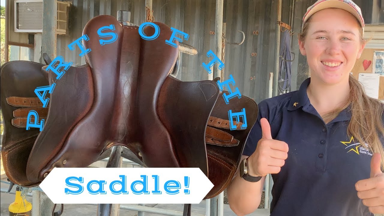 Parts of the Saddle