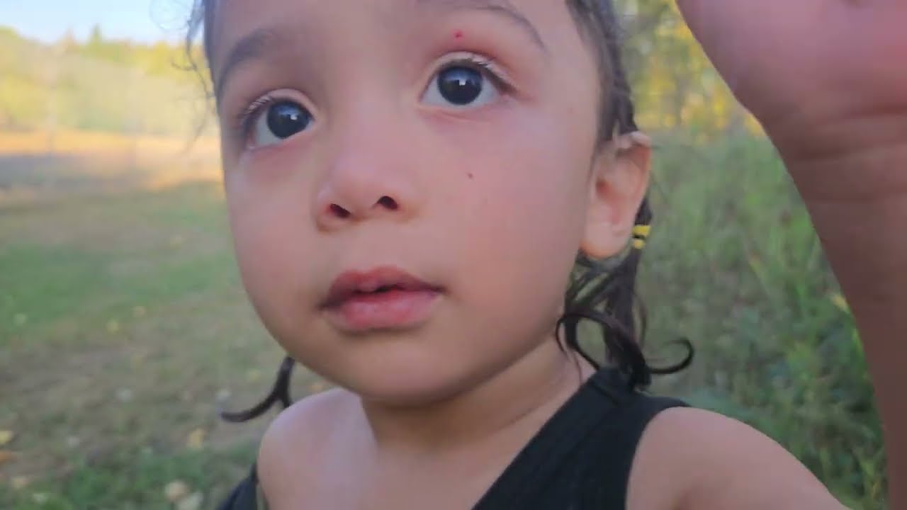 Picking apples | little baby 