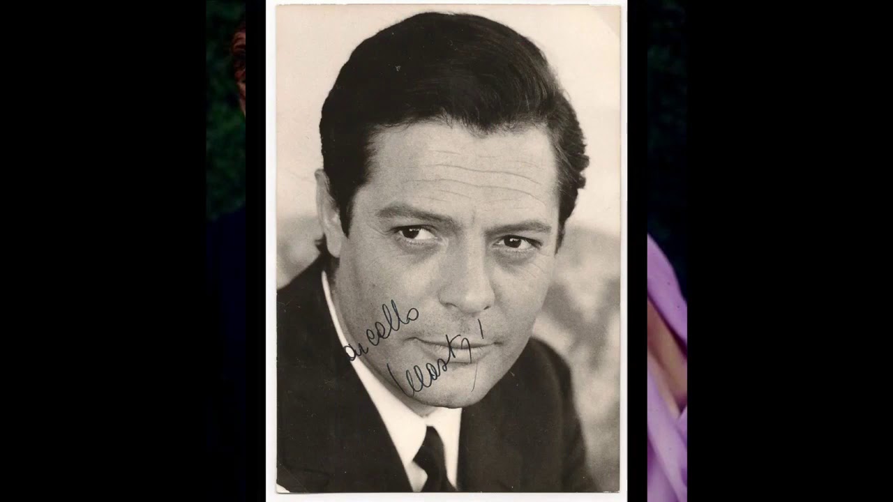 Tribute to a Real Italian Macho ,,,,,, Marcello Mastroianni