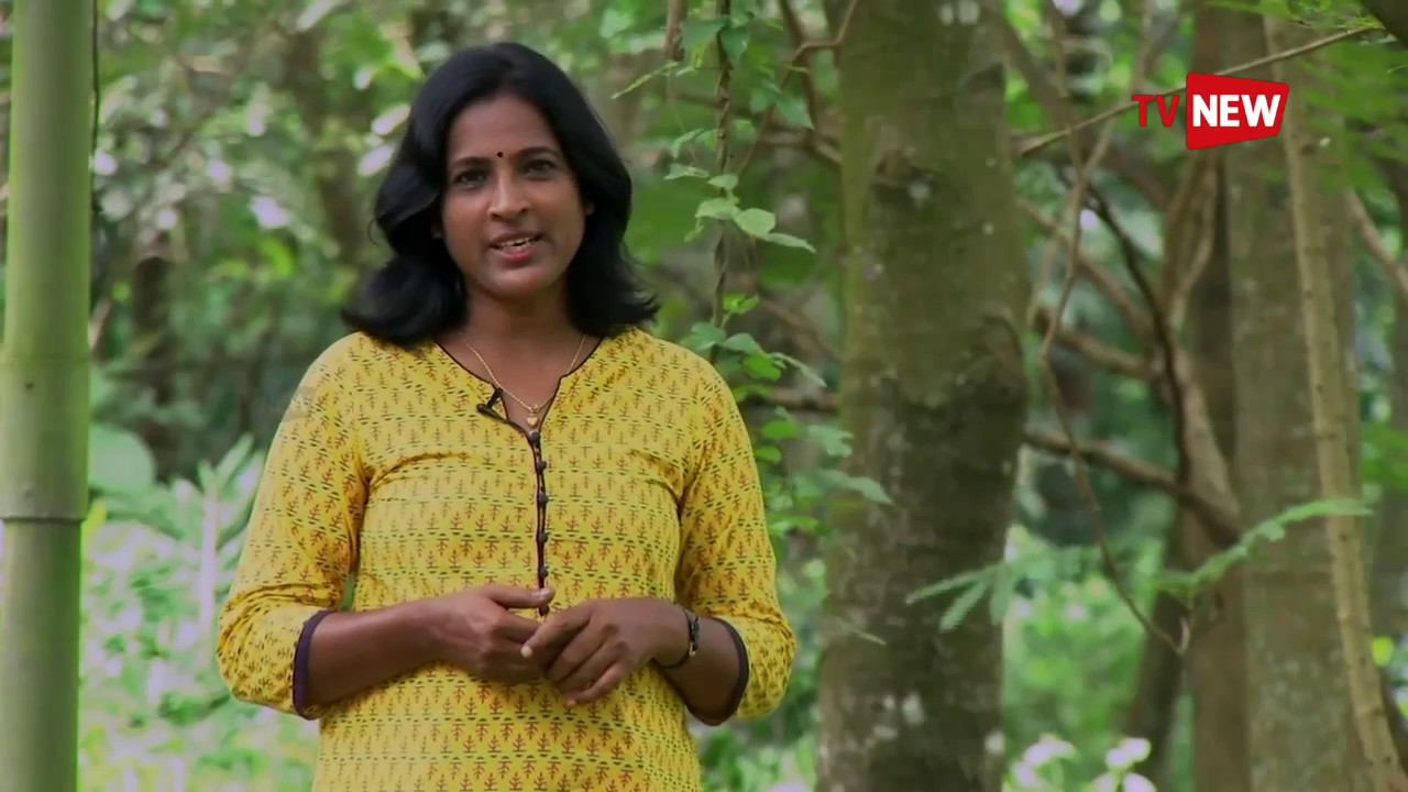 Meet Dr Narayanan who lives for tribals at Attappadi - We Salute | Tv New