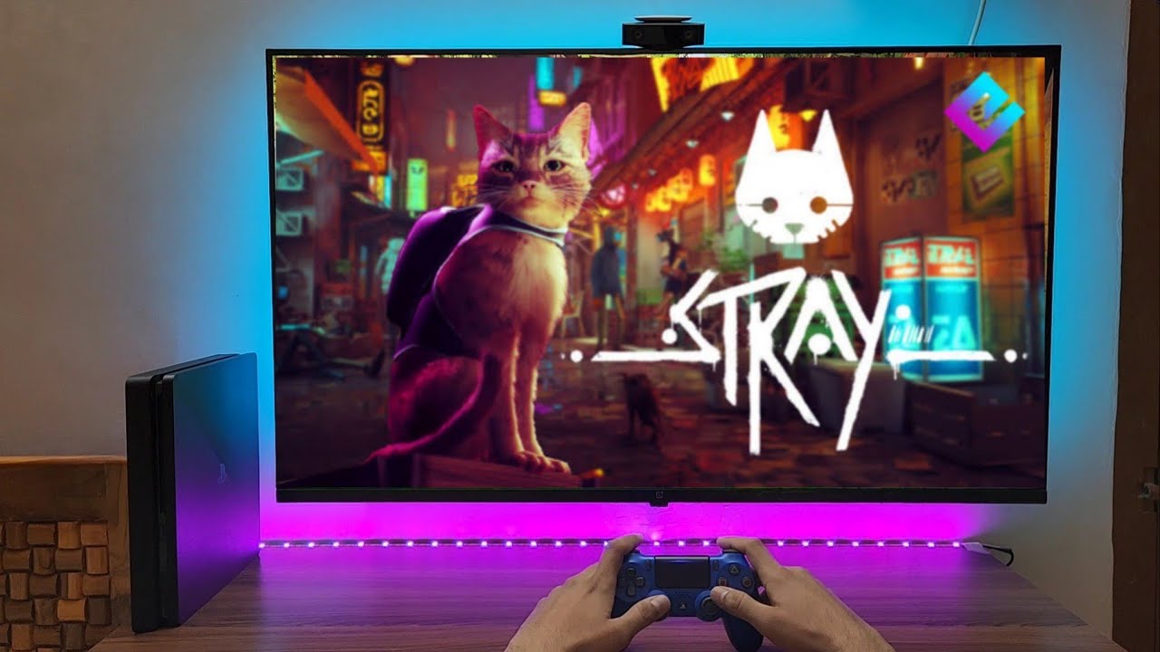 Stray Gameplay PS4 Slim (4K HDR TV)
