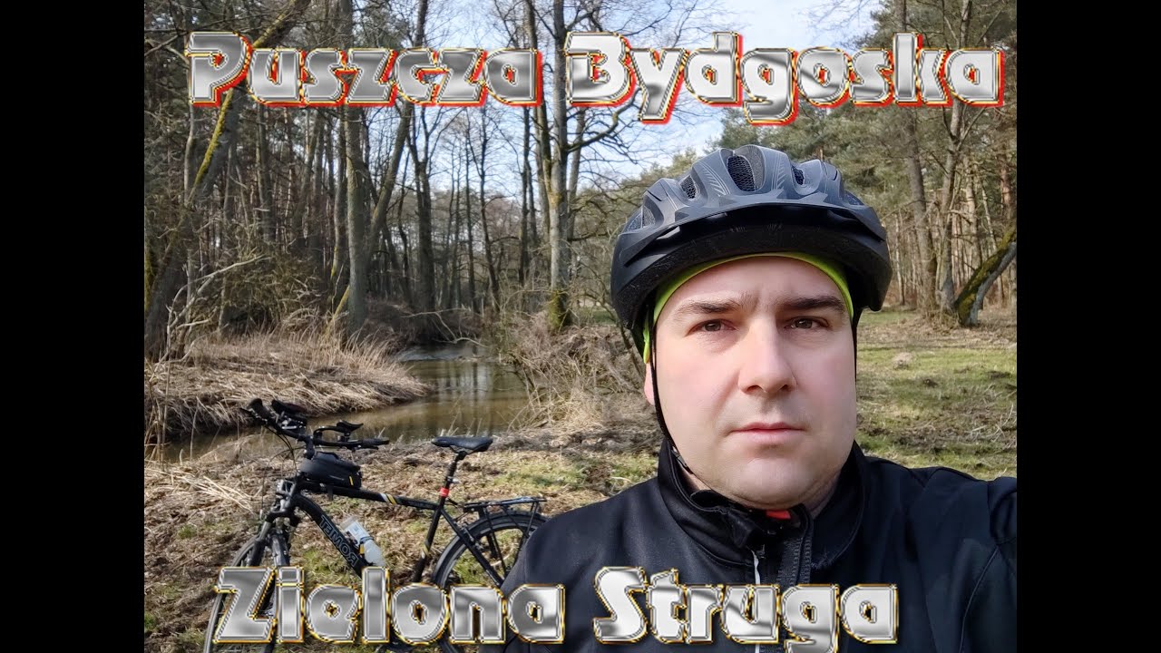 Nad Zieloną Strugą w Puszczy Bydgoskiej