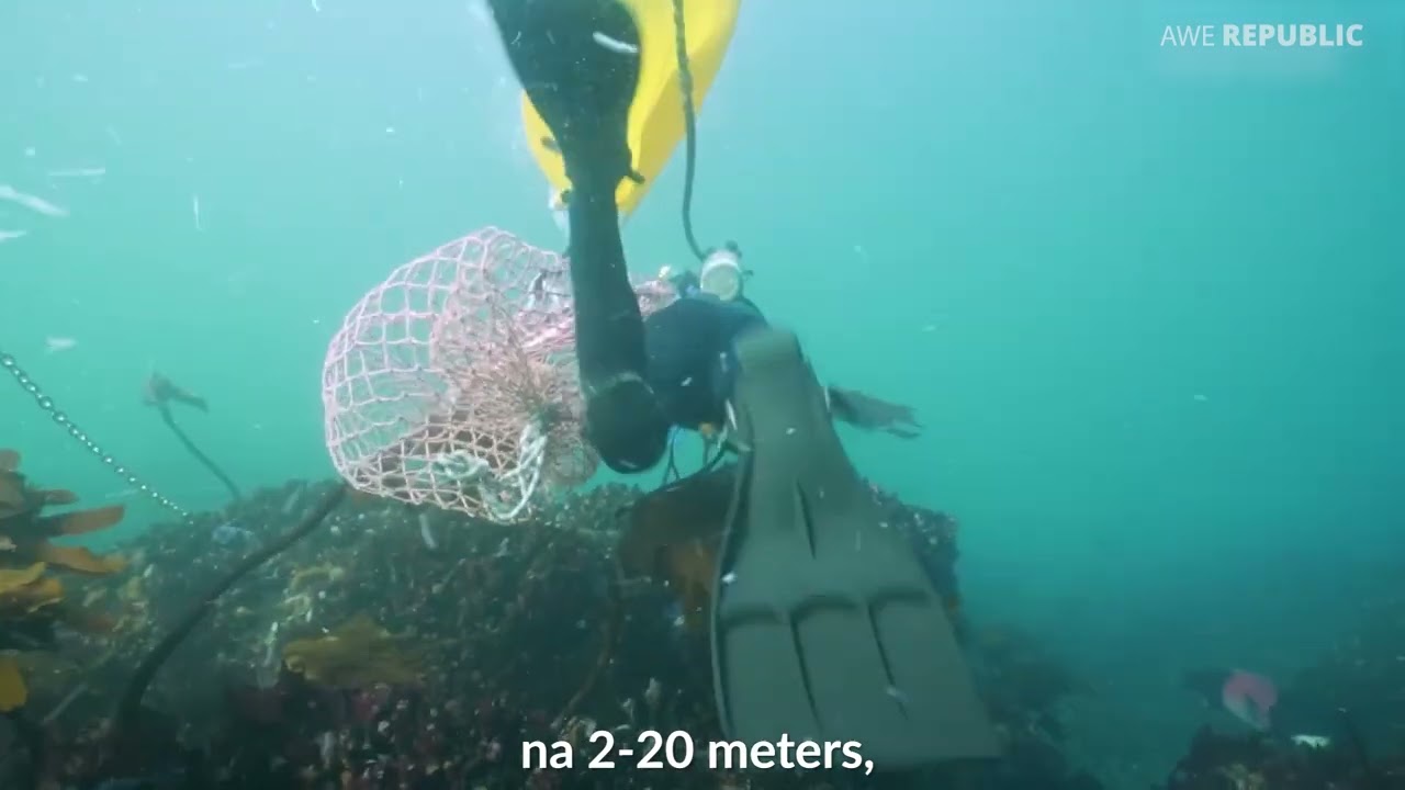 Tinatawag ito na 