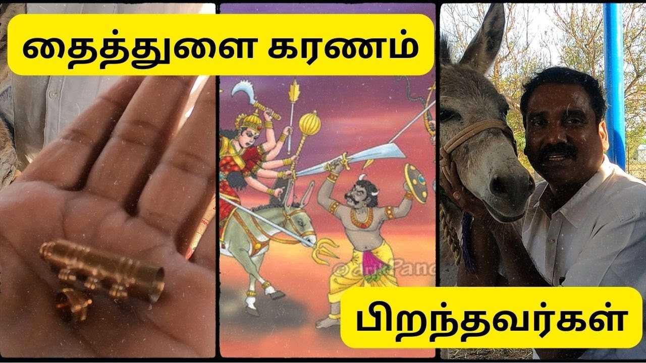 உண்மையில் கழுதைகள் || தைத்துளை கரணம் || Thaithulai Karanam 