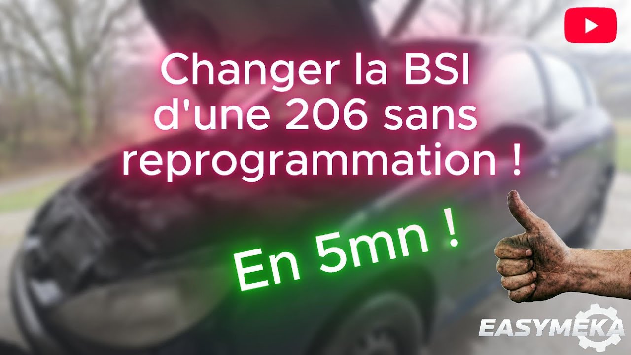 Changement BSI 206 sans reprogrammation