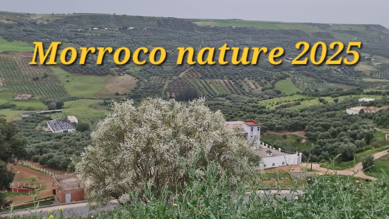 Morroco nature 2025