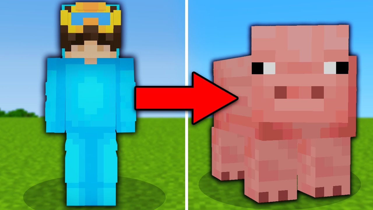 Я разыграл своего друга с помощью мода Morph в Minecraft!