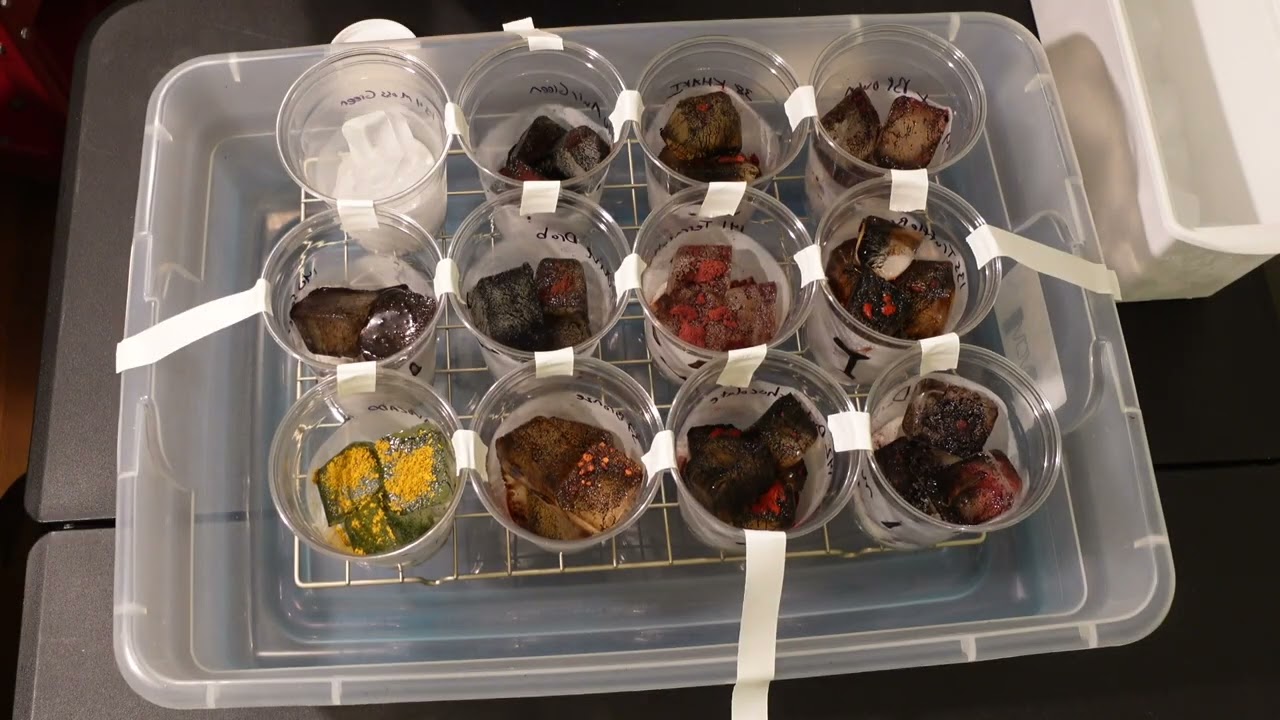 Making some Ice Dye Color Swatches using Earth Tones