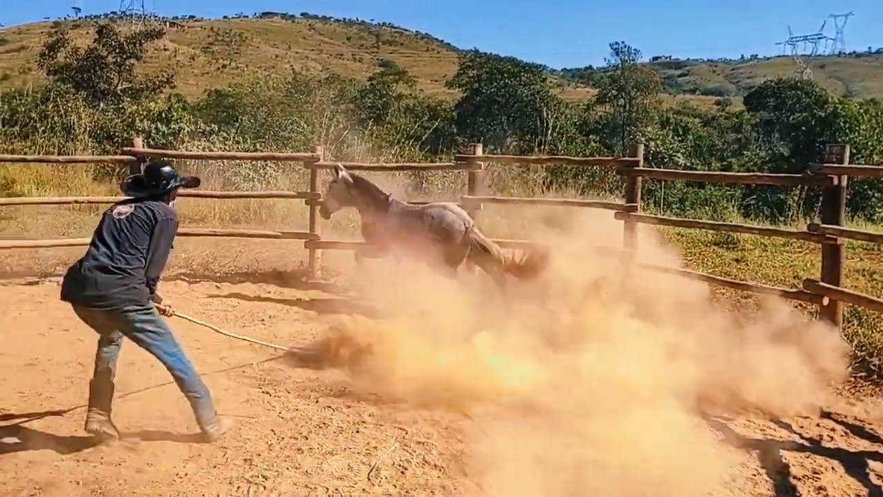 COMO INICIAR DOMA EM POTRA XUCRA. POTRA MONTANA PARTE 1