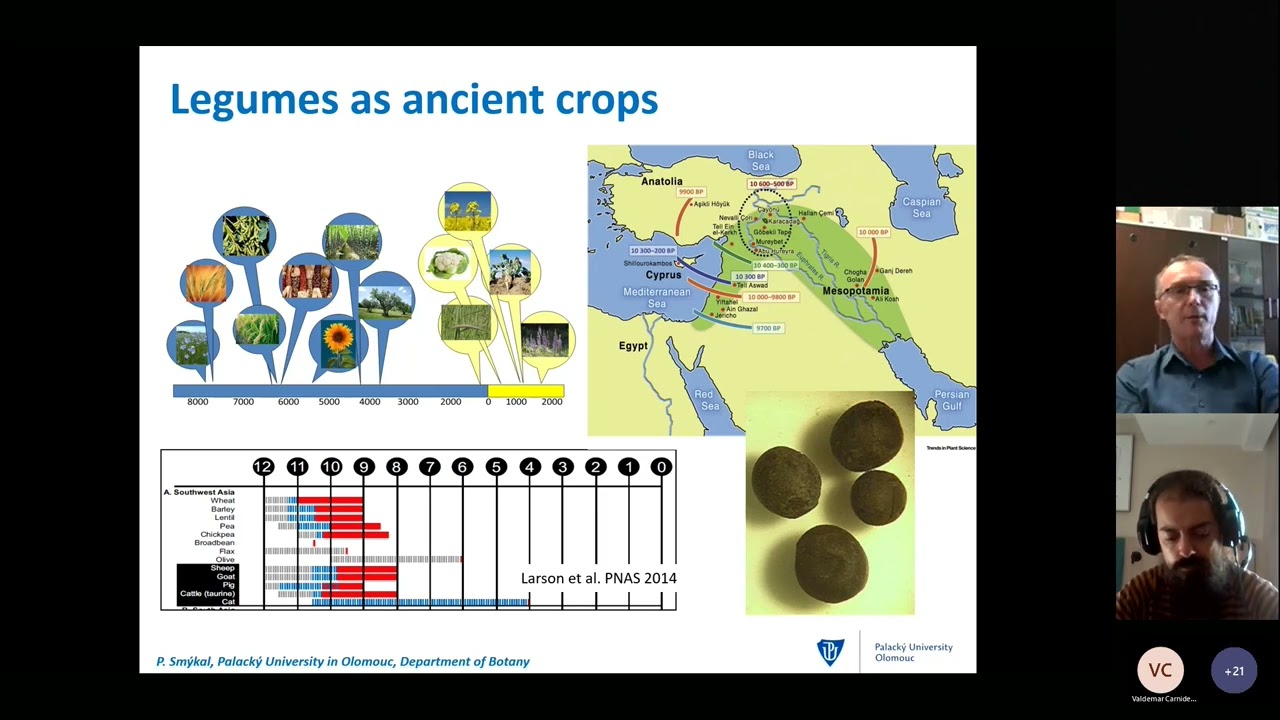 [ILSW-s1e02] Domestication history of crop grain legumes (with Petr Smykal)